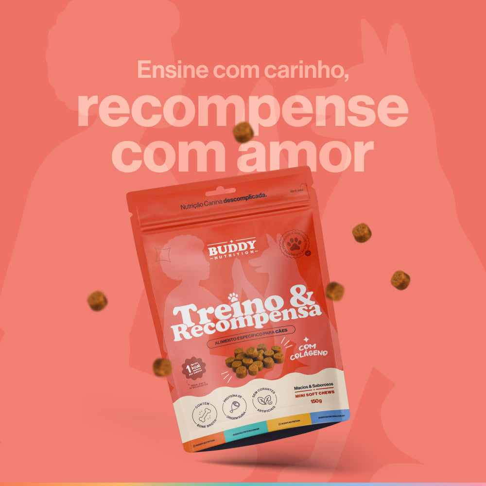 Treino & Recompensa