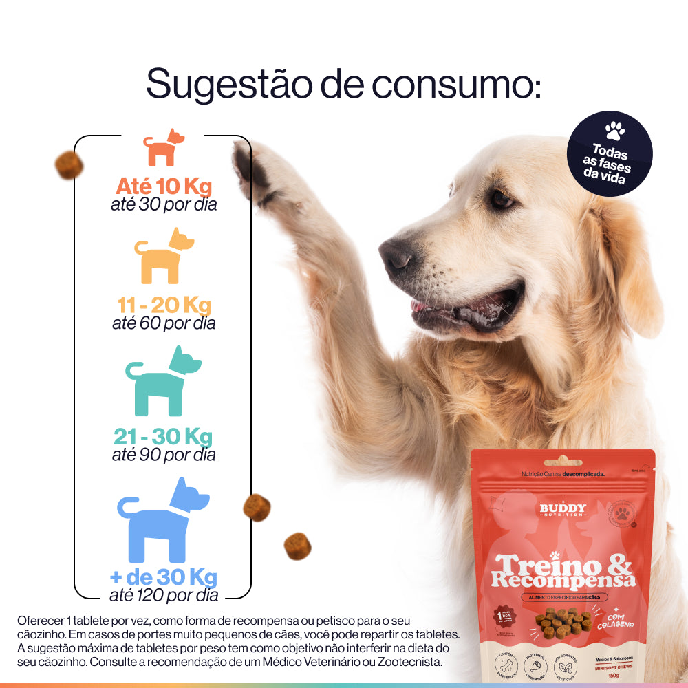 Treino & Recompensa