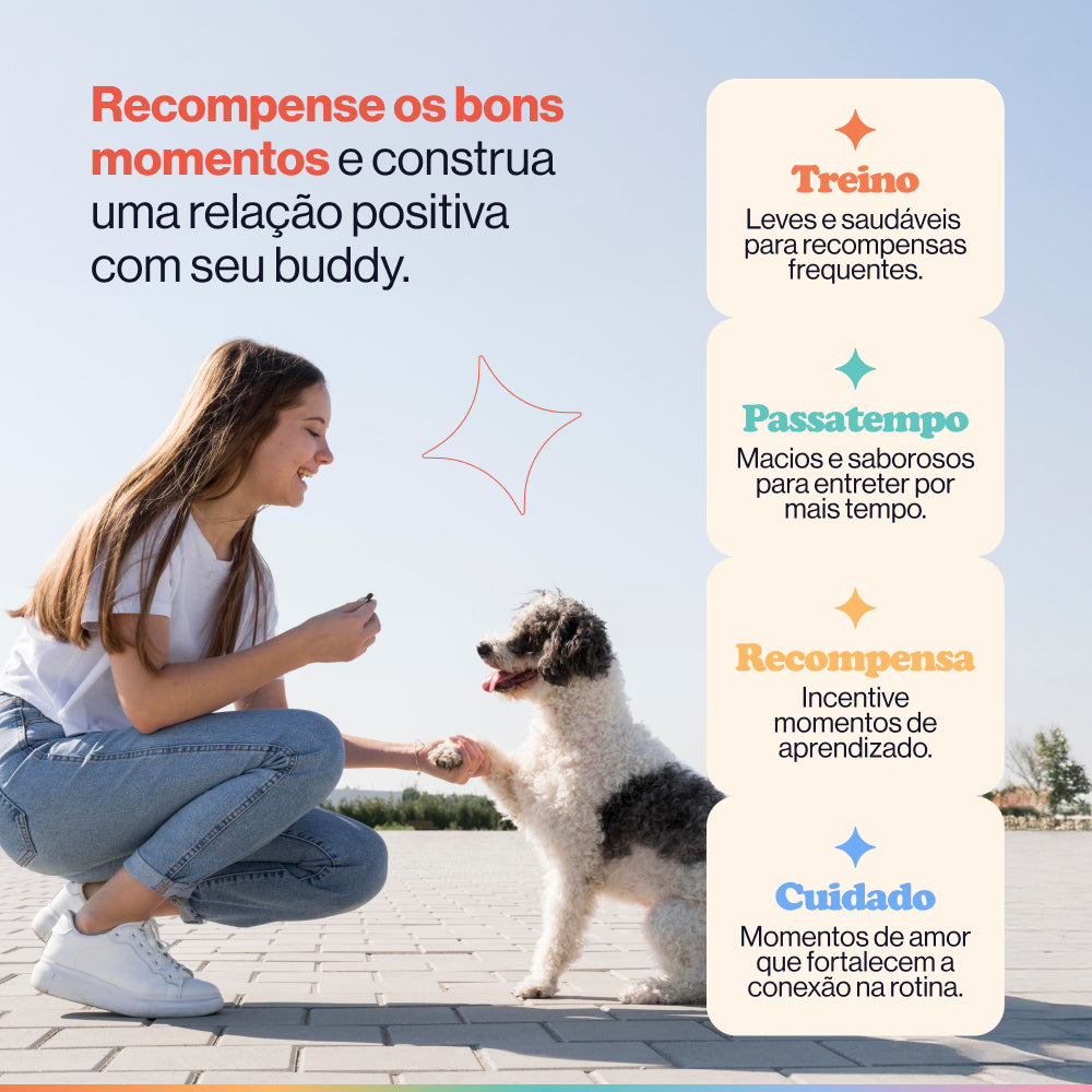 Treino & Recompensa
