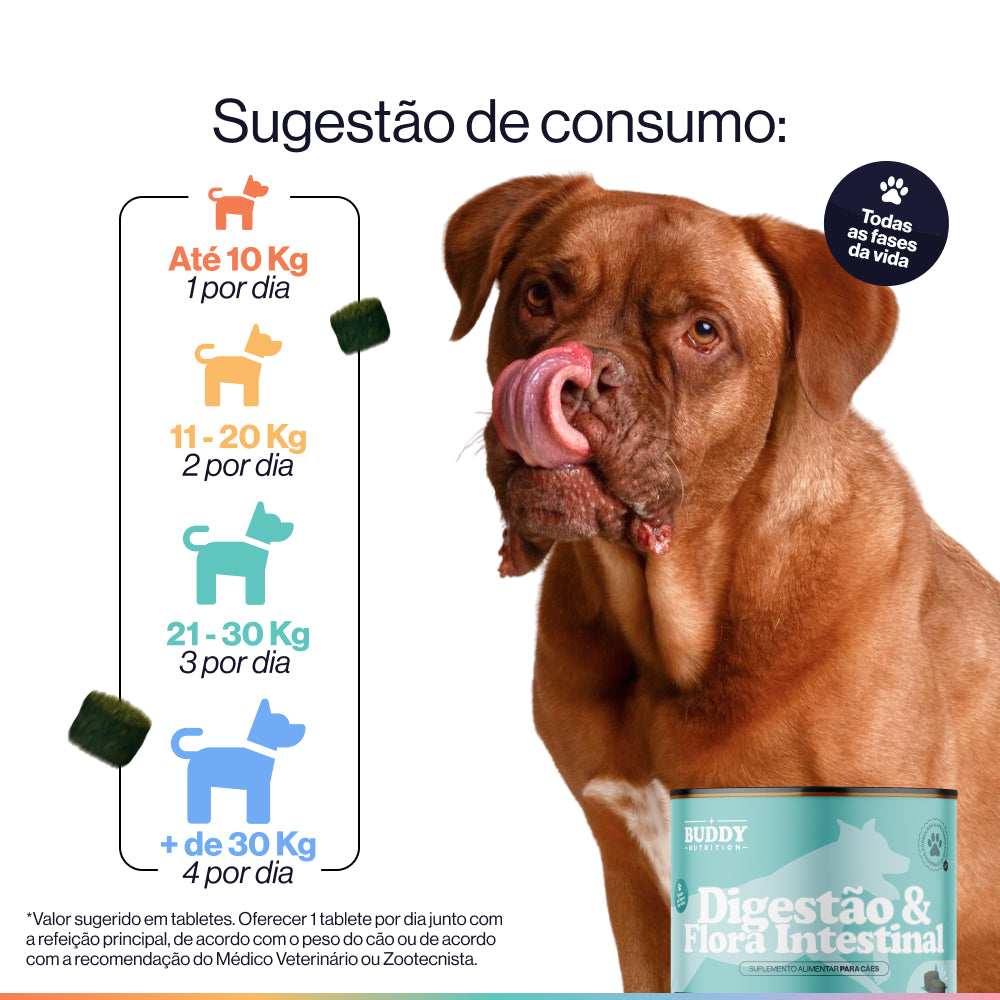Digestão & Flora Intestinal
