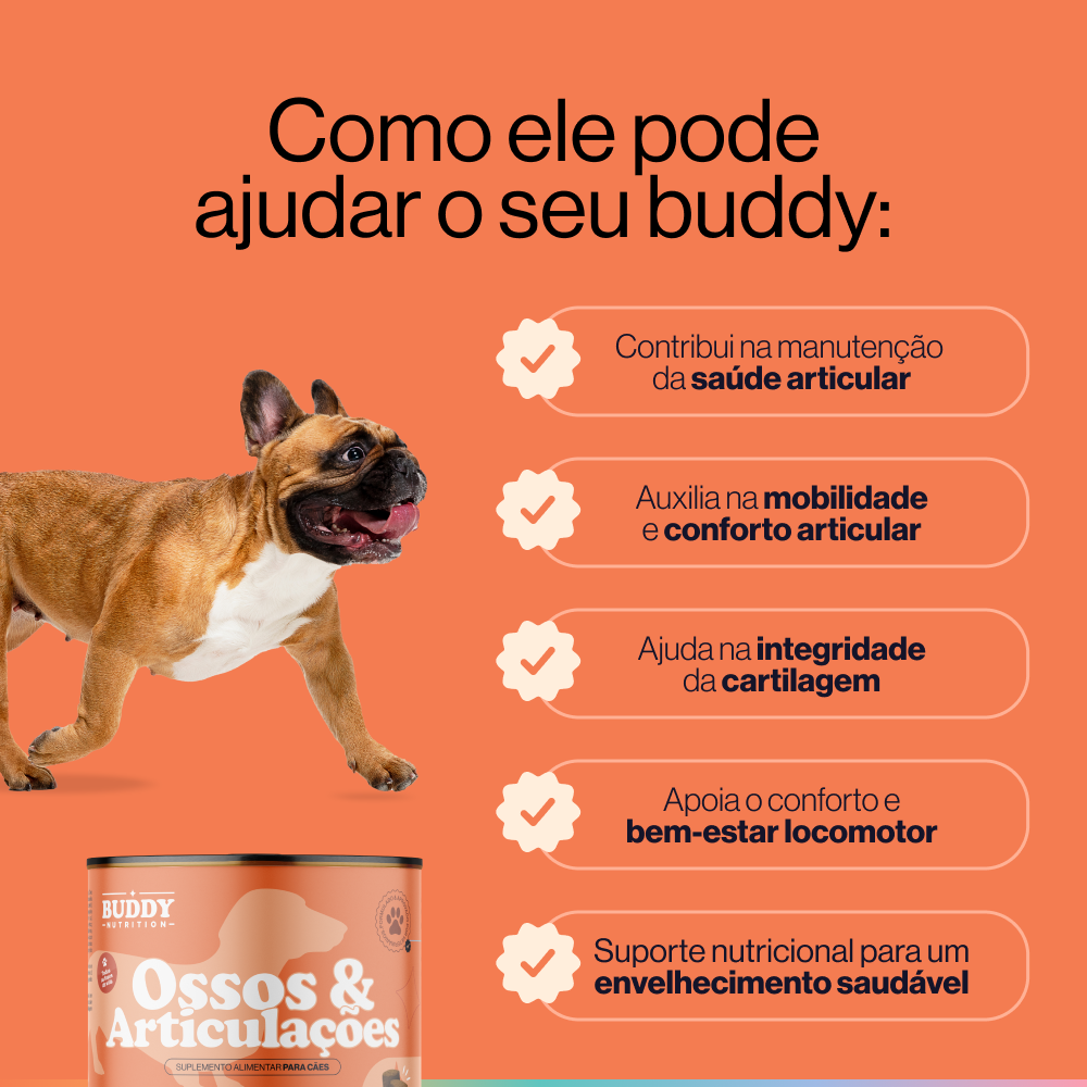 Ossos & Articulações