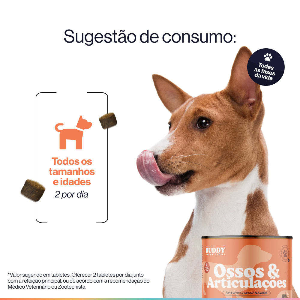 Ossos & Articulações
