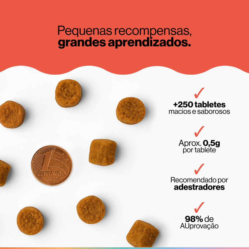 Treino & Recompensa