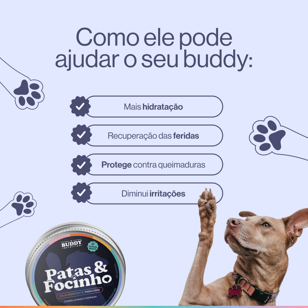 Patas & Focinho