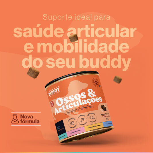 Ossos & Articulações