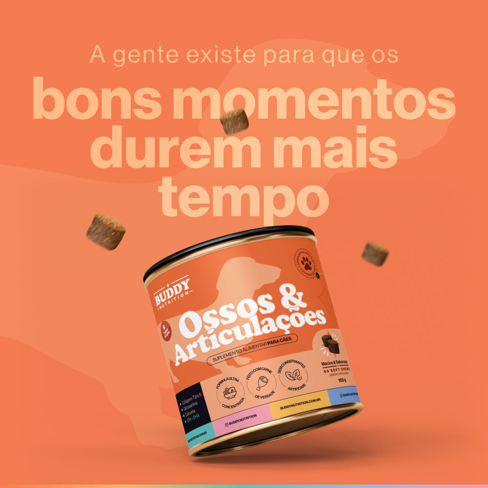 Ossos & Articulações